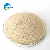 Inactive brewers yeast powder