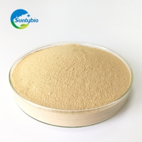 Yeast Hydrolysate /Autolyzed Yeast