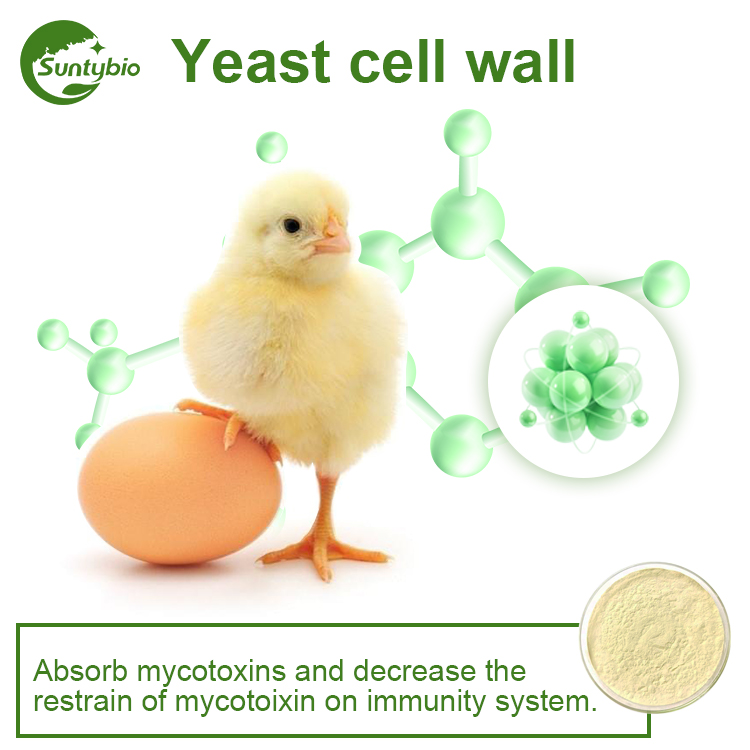 Yeast Cell Wall Has The Effect Of Adsorbing Mycotoxins