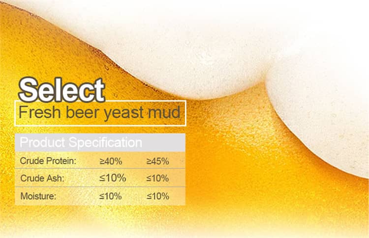 brewer's yeast