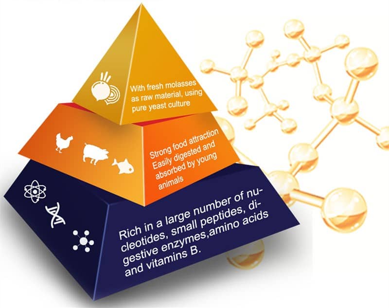 autolyzed yeast