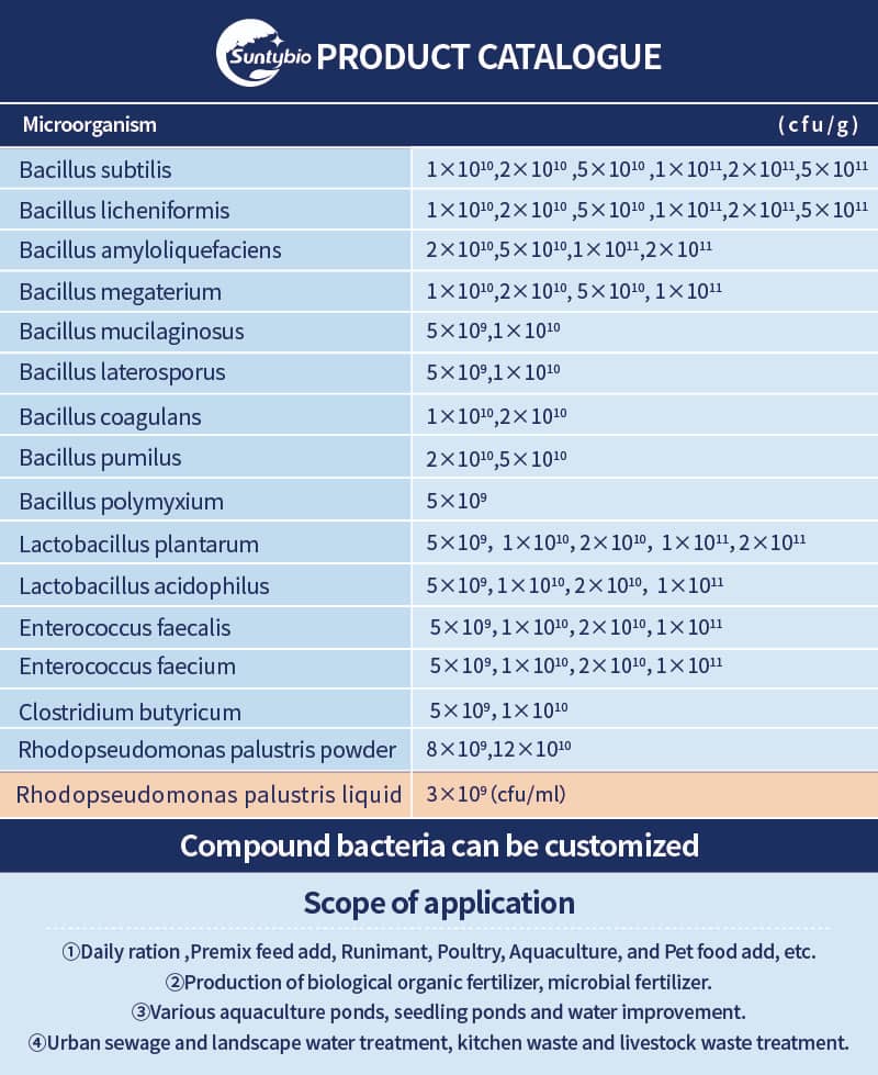 Bacillus Licheniformis│Bacillus Bacteria│Probiotic Supplement