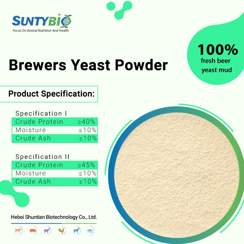 Brewer's yeast powder is a very nutritious natural feed with a variety of effect