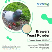 Brewers Yeast For Racing Pigeon