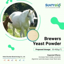 Horse Use Brewers Yeast