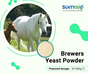 Horse Use Brewers Yeast