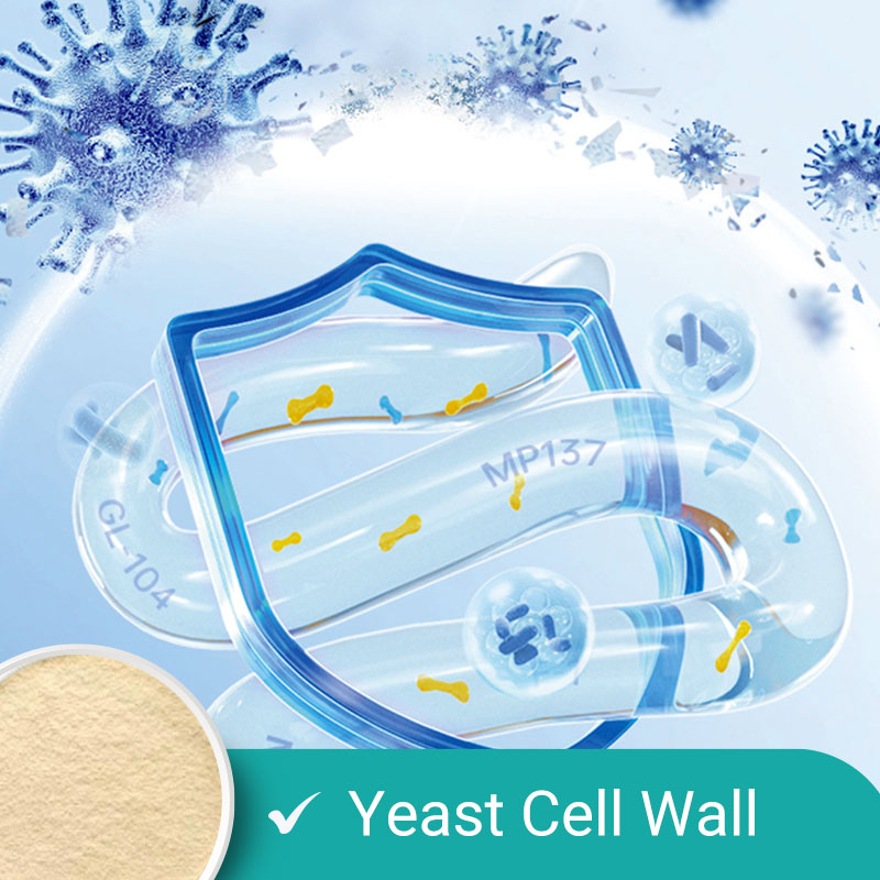 Yeast Cell Wall For Mycotoxin Adsorption