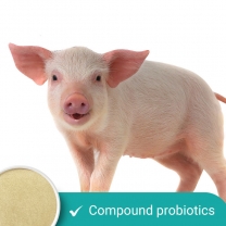 Compound Probiotics for Odour Remove