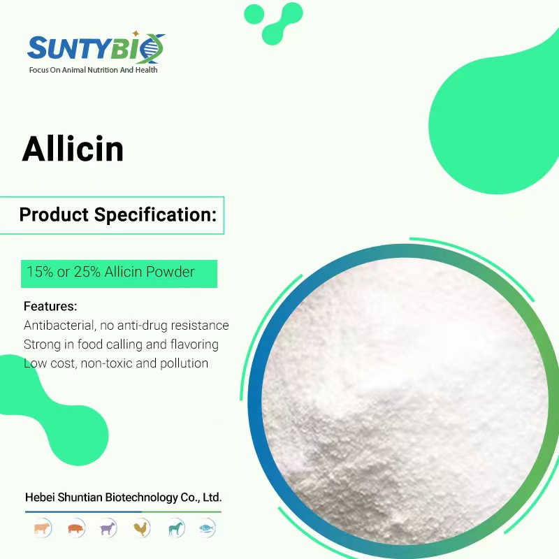 Today we're going to look at how allicin works and how to use it