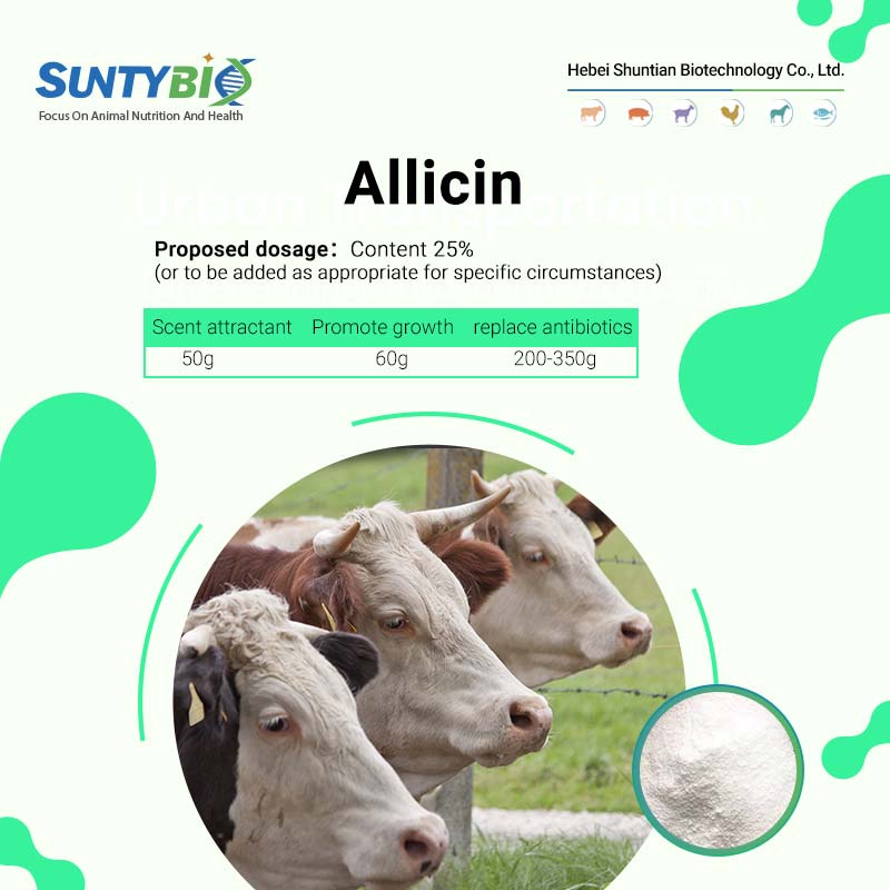 Notes on Allicin Feed Additives