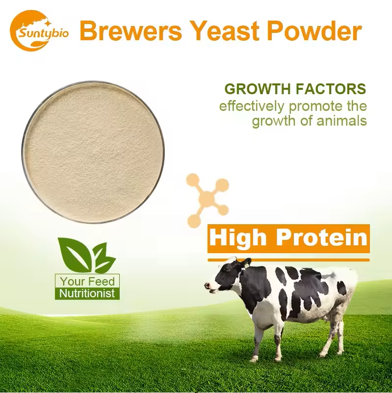 What are the nutritional components and benefits of beer yeast powder?