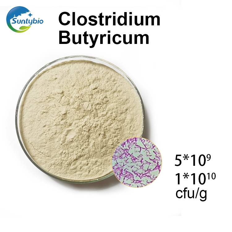 The correct usage of Clostridium butyricum in aquaculture