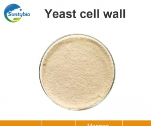 Yeast cell wal