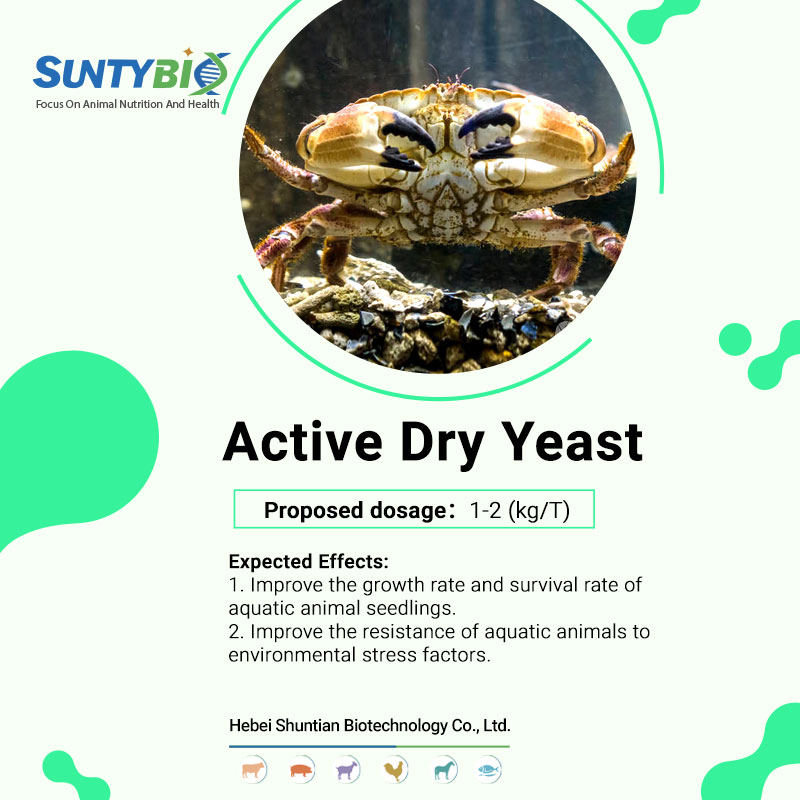 Active dry yeast is an important aid for aquaculture