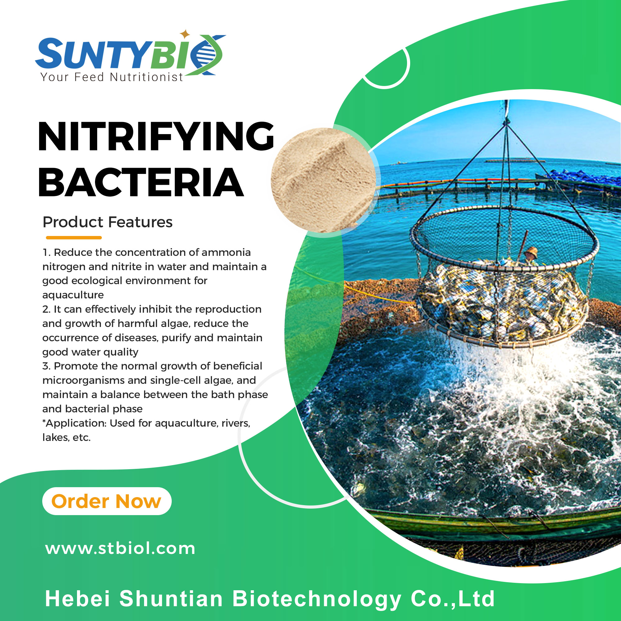 Do you know what nitrifying bacteria are?