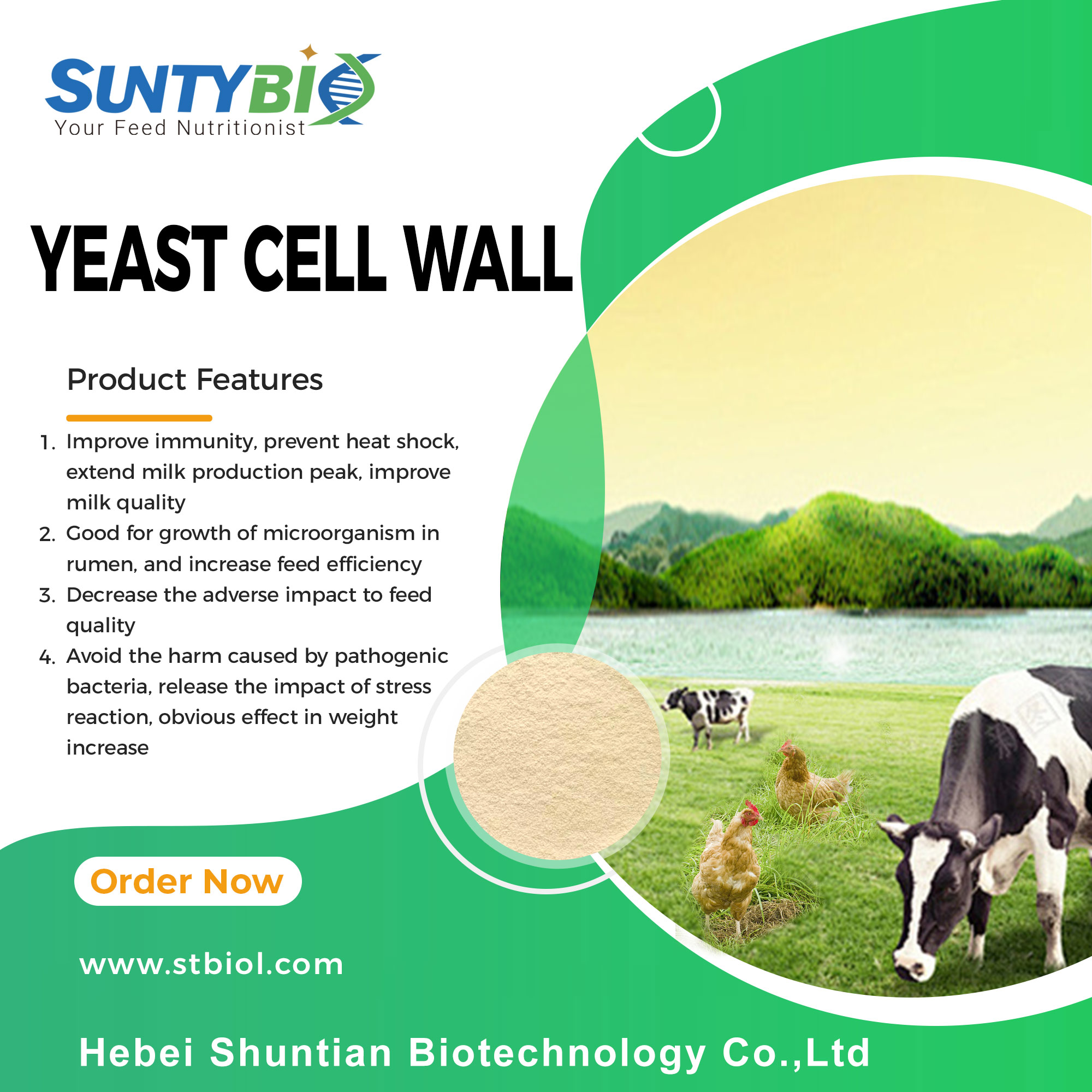 The main functions of yeast cell wall in livestock and poultry applications