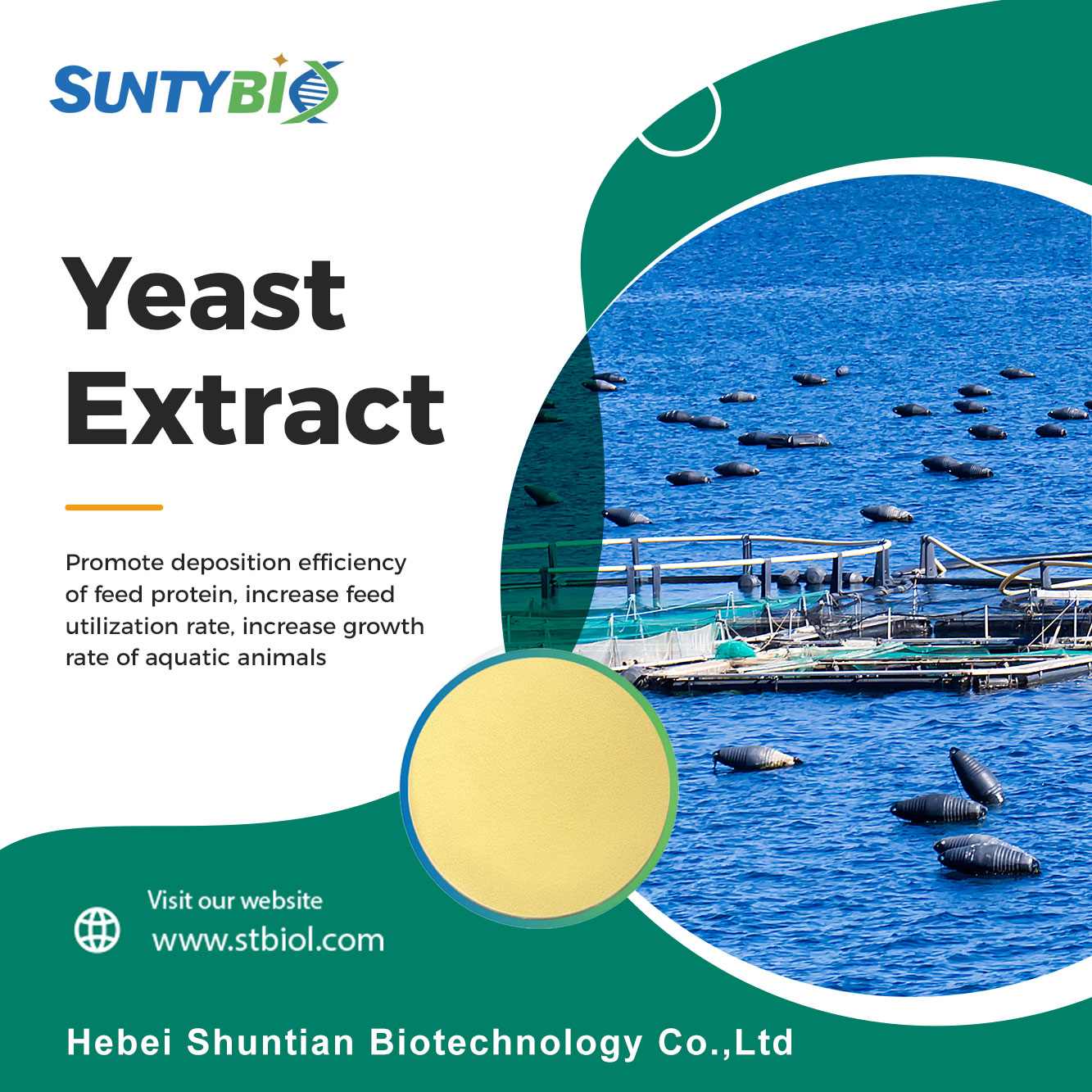 The role of yeast extract in fish feed