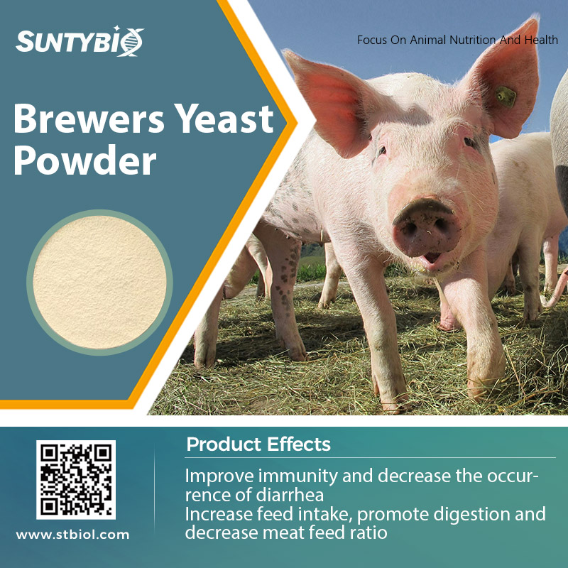 The synergistic effect of beer yeast and other feed ingredients