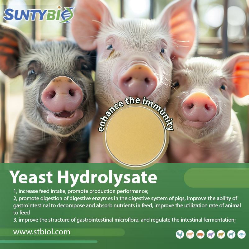 What is the appropriate amount of yeast hydrolysate added to different animal