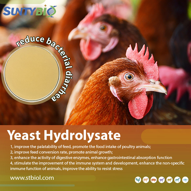 What is the effect of the addition ratio of yeast hydrolysate on the growth