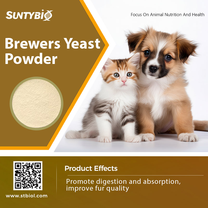 The nutritional value of beer yeast used in feed additives