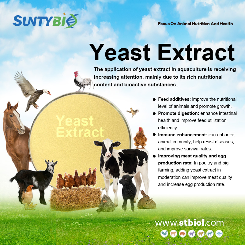 What are the precautions for using yeast hydrolysate?