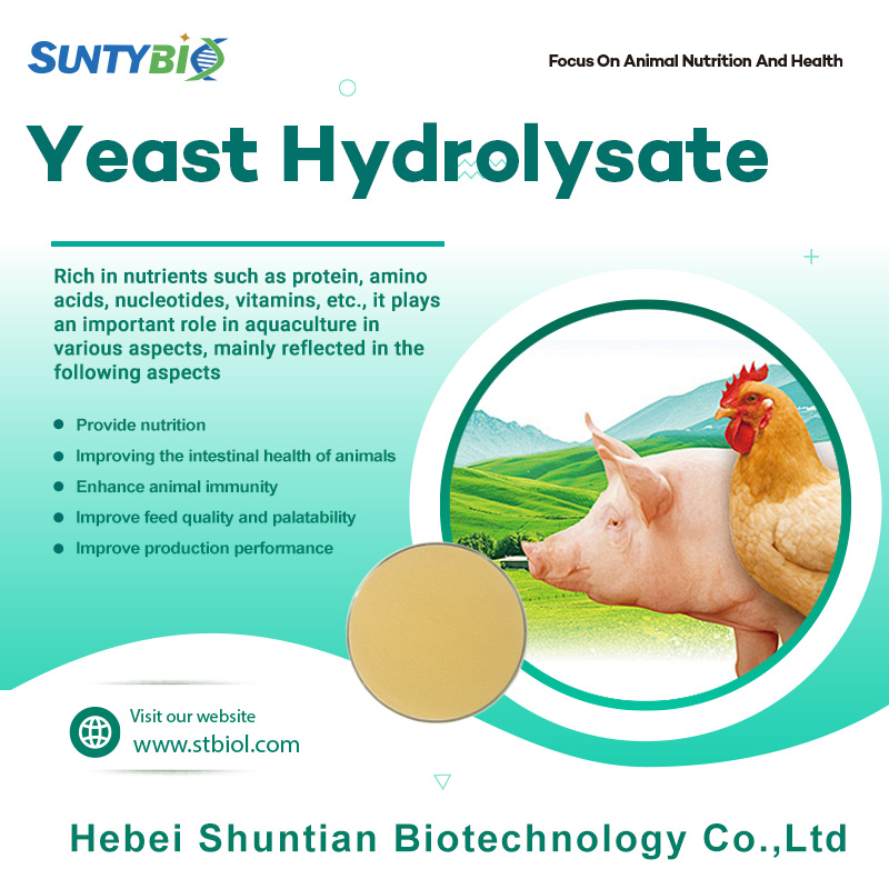 The effects of yeast hydrolysate on animals